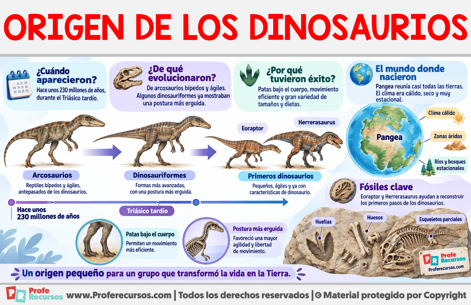 Origen de los Dinosaurios Infografia sobre Origen de los Dinosaurios