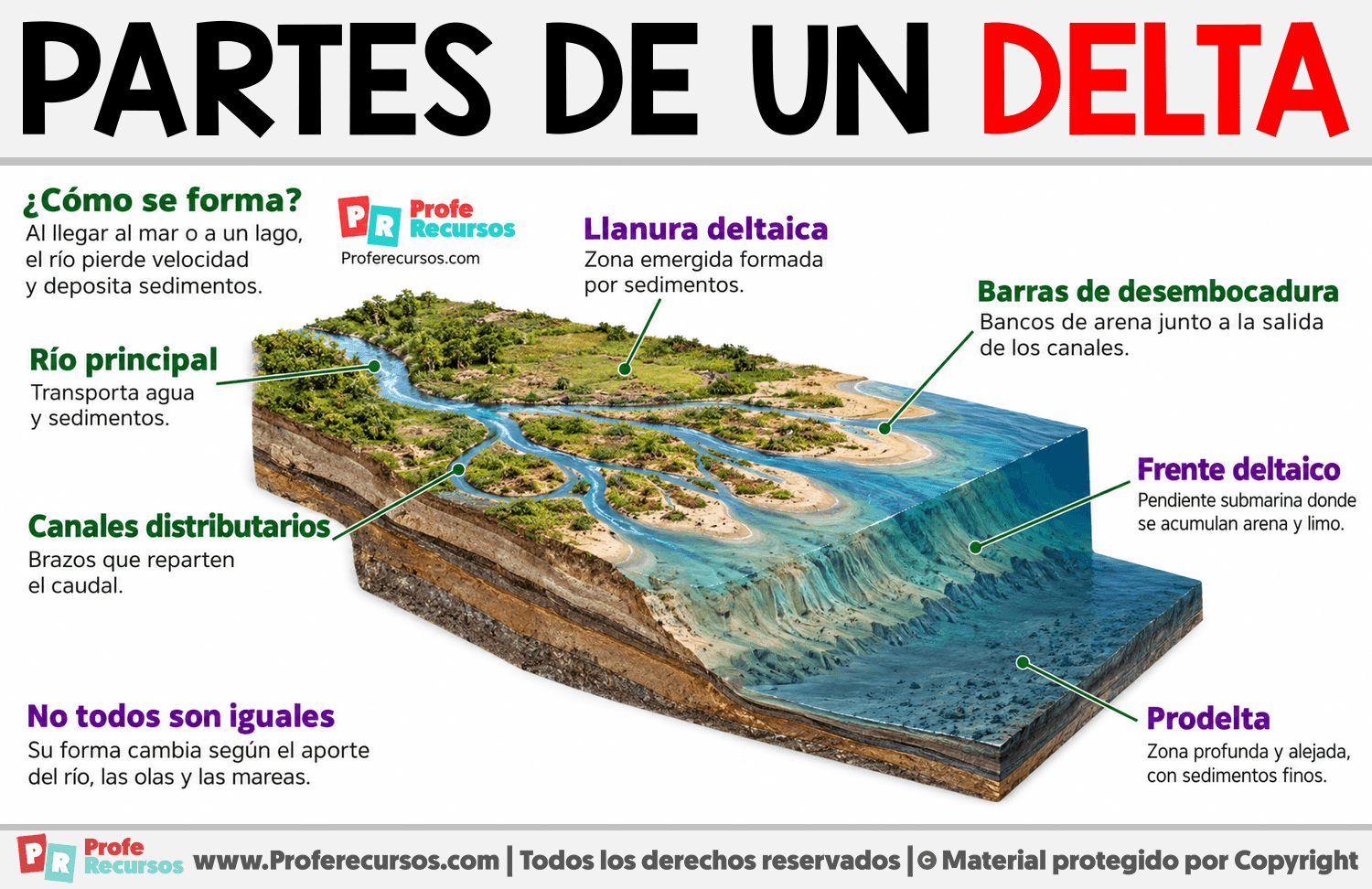 Partes de un delta Infografia sobre Partes de un delta