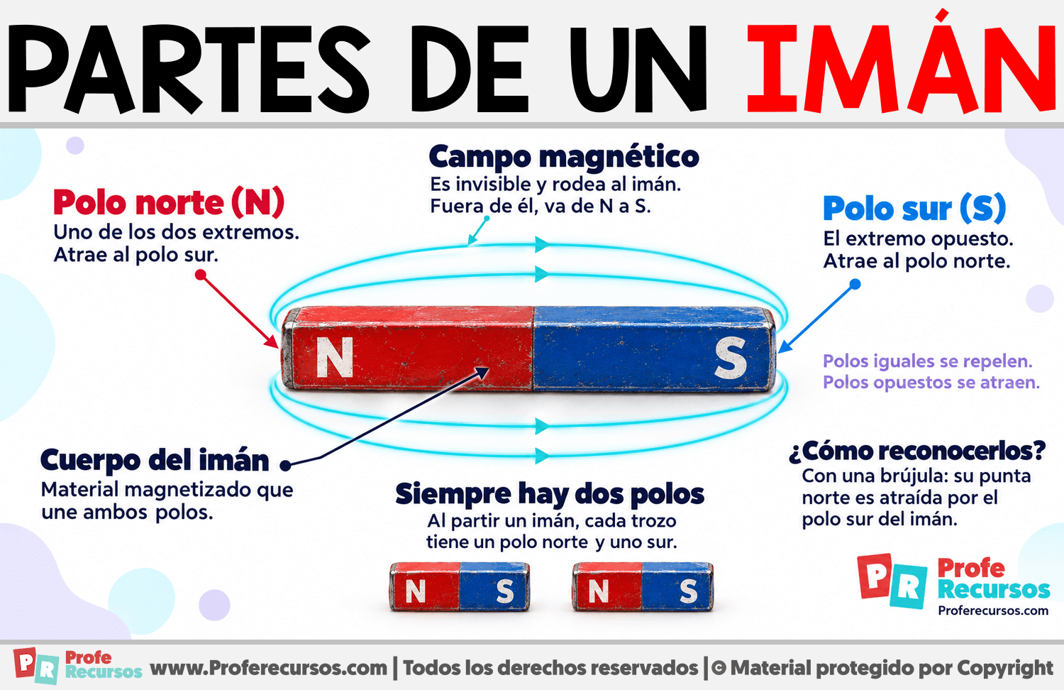 Partes de un Imán Infografia sobre Partes de un Imán