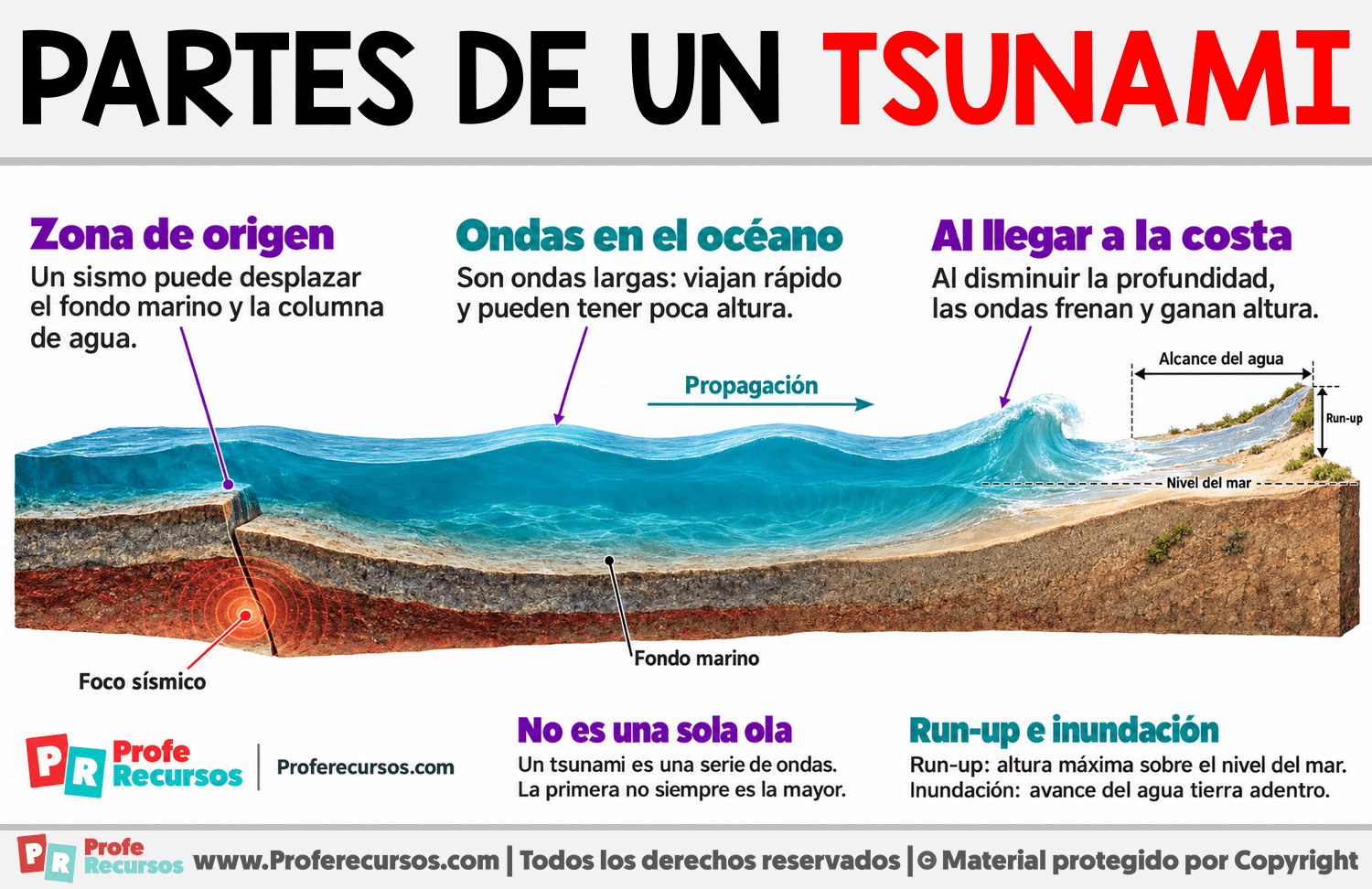 Partes de un tsunami Infografia sobre Partes de un tsunami