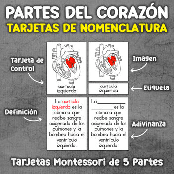Imagen 3 del recurso de TPT Imagen 3 del recurso de TPT