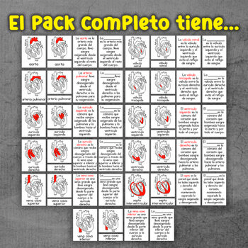 Imagen 4 del recurso de TPT Imagen 4 del recurso de TPT
