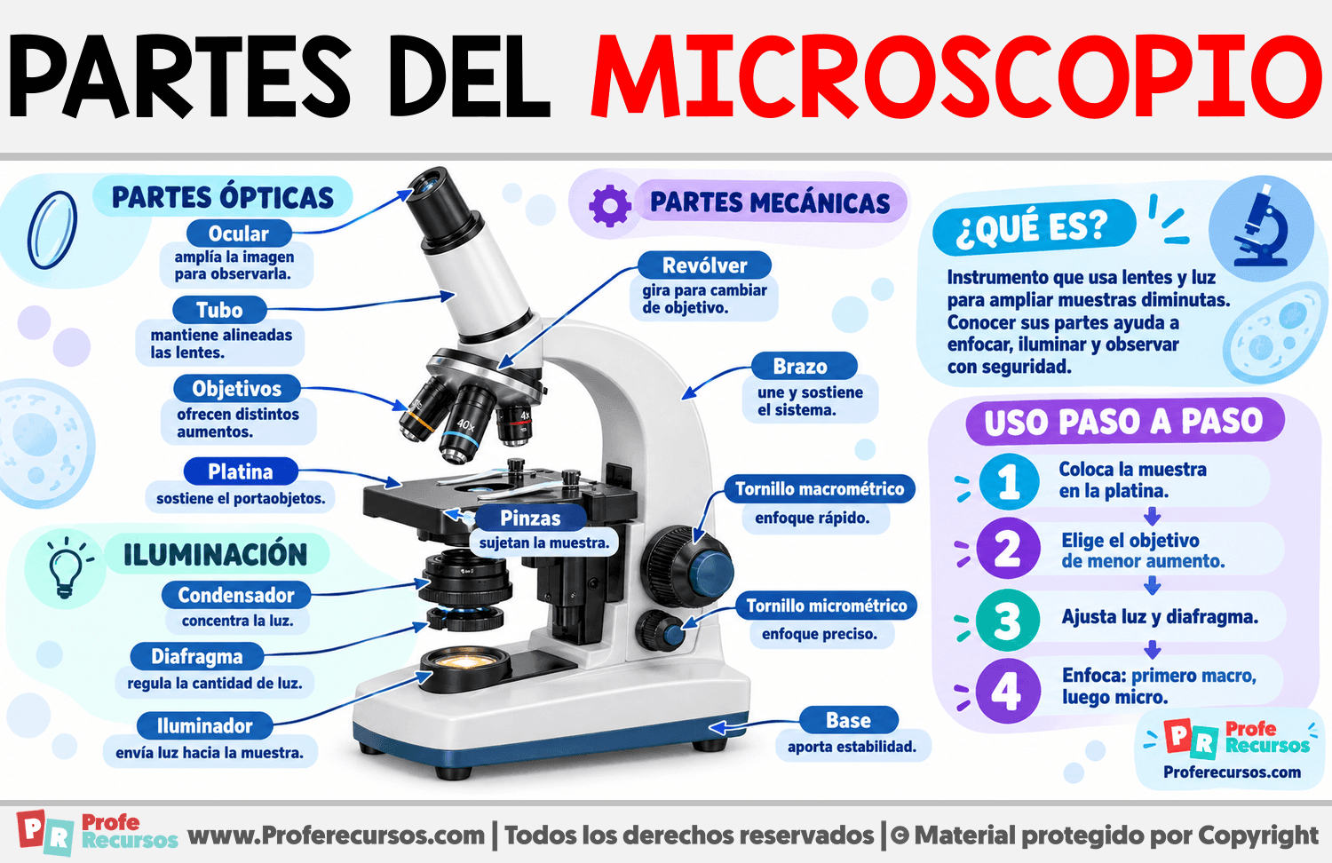 Partes del Microscopio Infografia sobre Partes del Microscopio