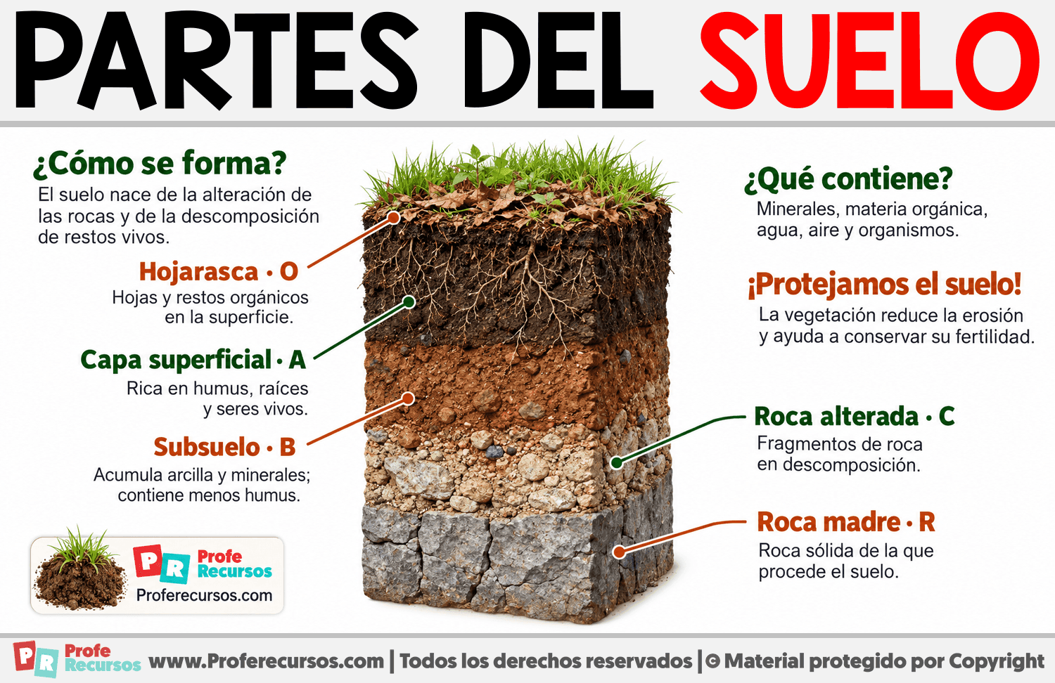 Partes del suelo Infografia sobre Partes del suelo