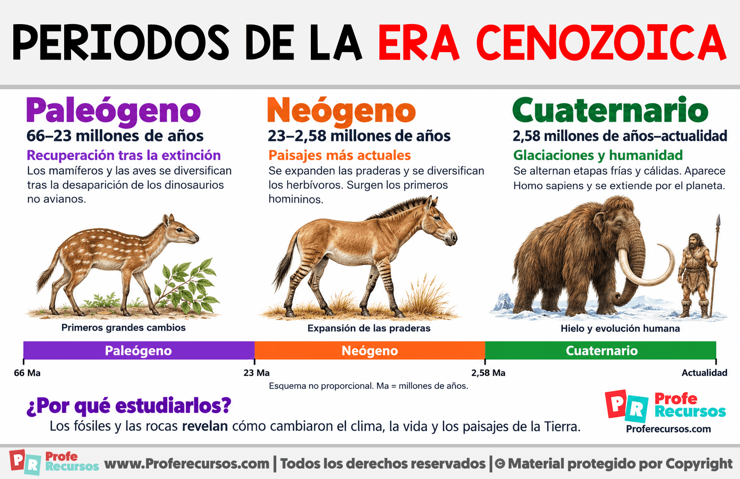 Periodos de la era Cenozoica Infografia sobre Periodos de la era Cenozoica