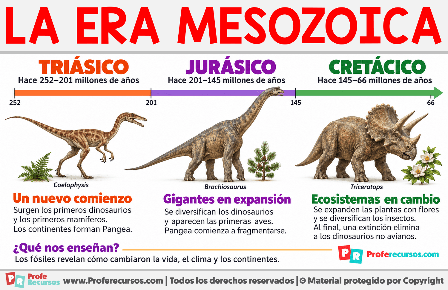 Periodos de la era Mesozoica Infografia sobre Periodos de la era Mesozoica