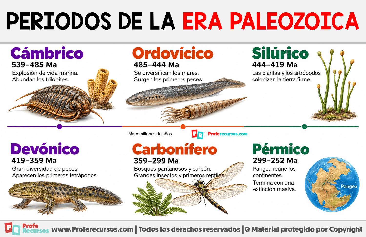 Periodos de la era Paleozoica Infografia sobre Periodos de la era Paleozoica