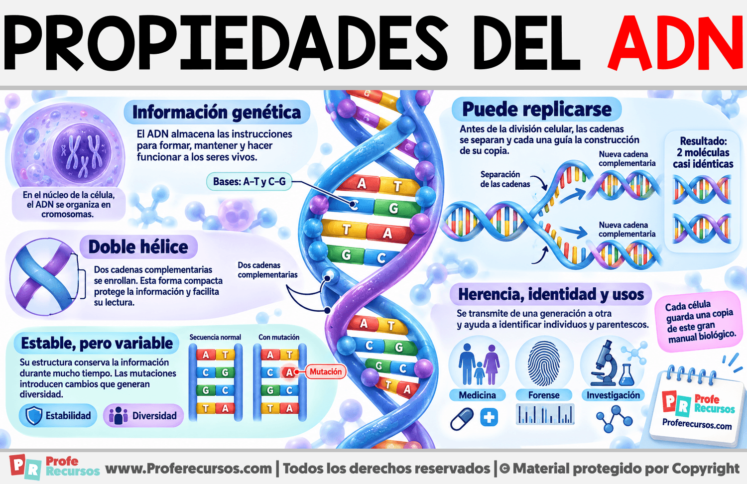 Propiedades del ADN Infografia sobre Propiedades del ADN