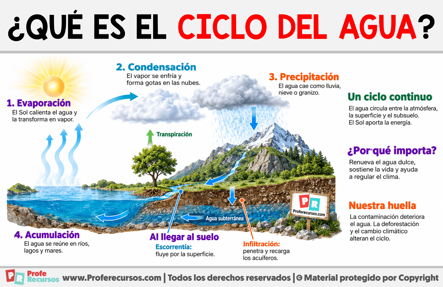 ¿Qué es el ciclo del agua? Infografia sobre ¿Qué es el ciclo del agua?
