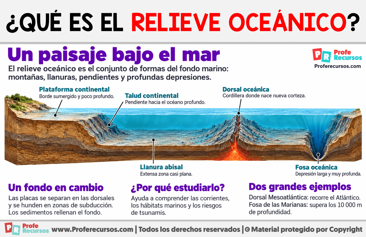¿Qué es el relieve oceánico? Infografia sobre ¿Qué es el relieve oceánico?