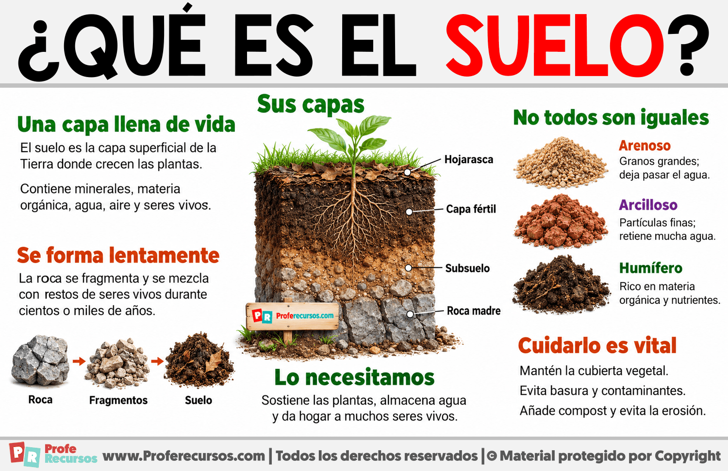 ¿Qué es el suelo? Infografia sobre ¿Qué es el suelo?