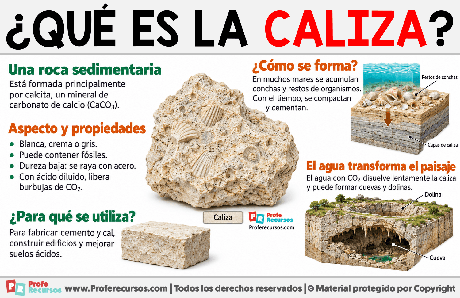 ¿Qué es la caliza? Infografia sobre ¿Qué es la caliza?