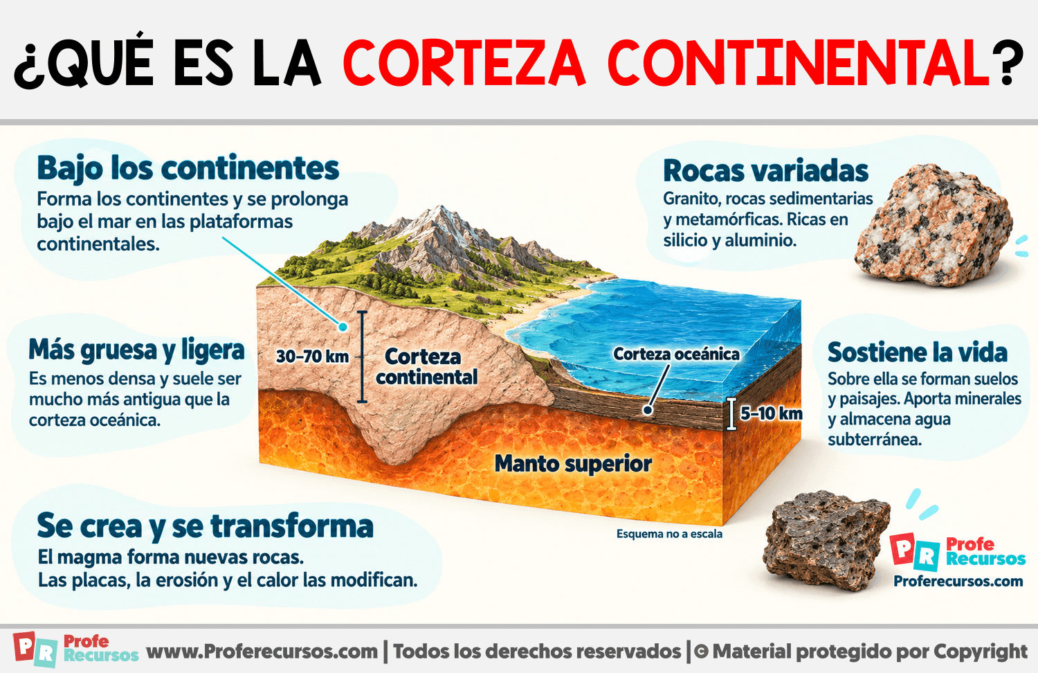 ¿Qué es la corteza continental? Infografia sobre ¿Qué es la corteza continental?