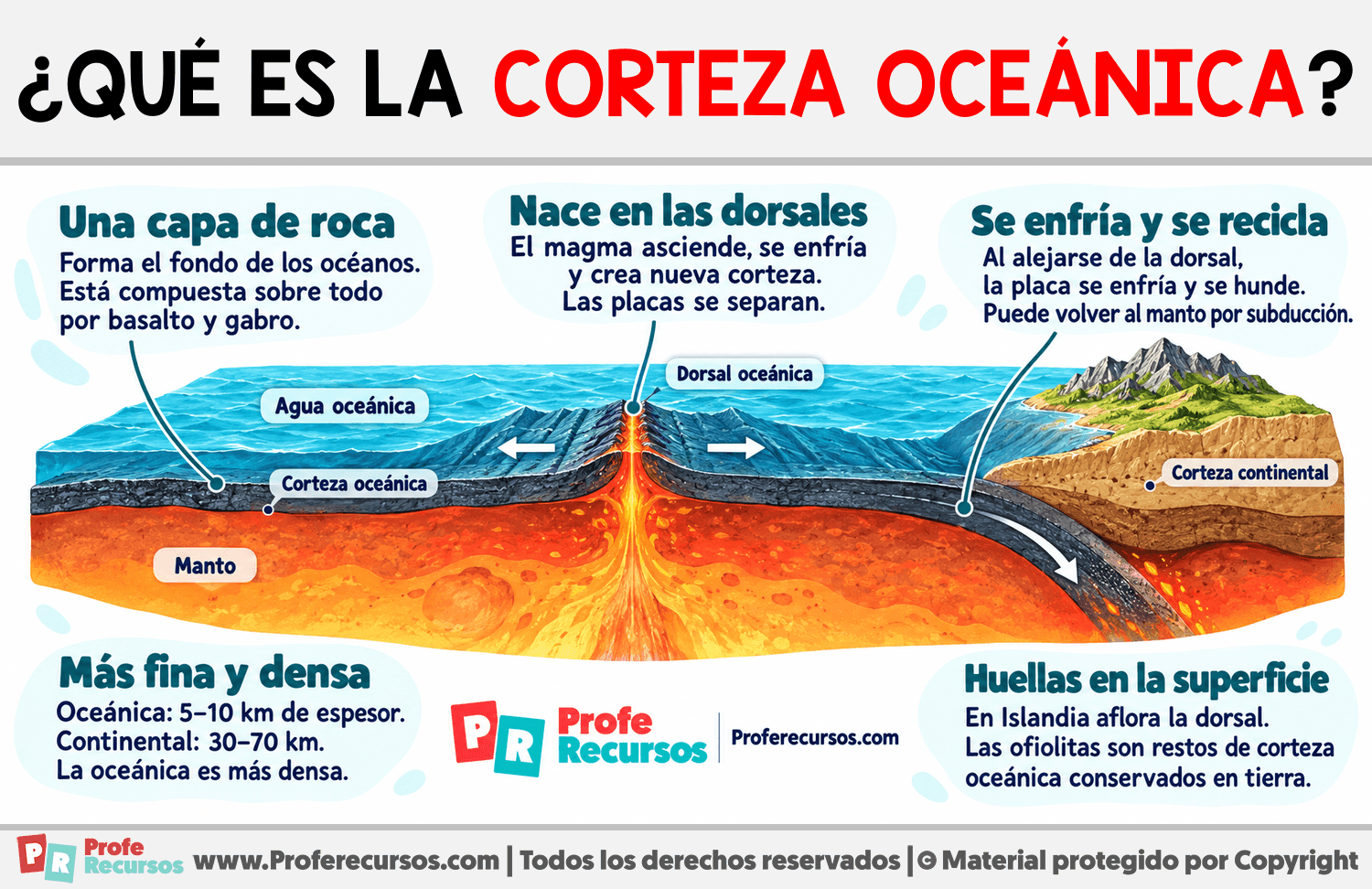 ¿Qué es la corteza oceánica? Infografia sobre ¿Qué es la corteza oceánica?