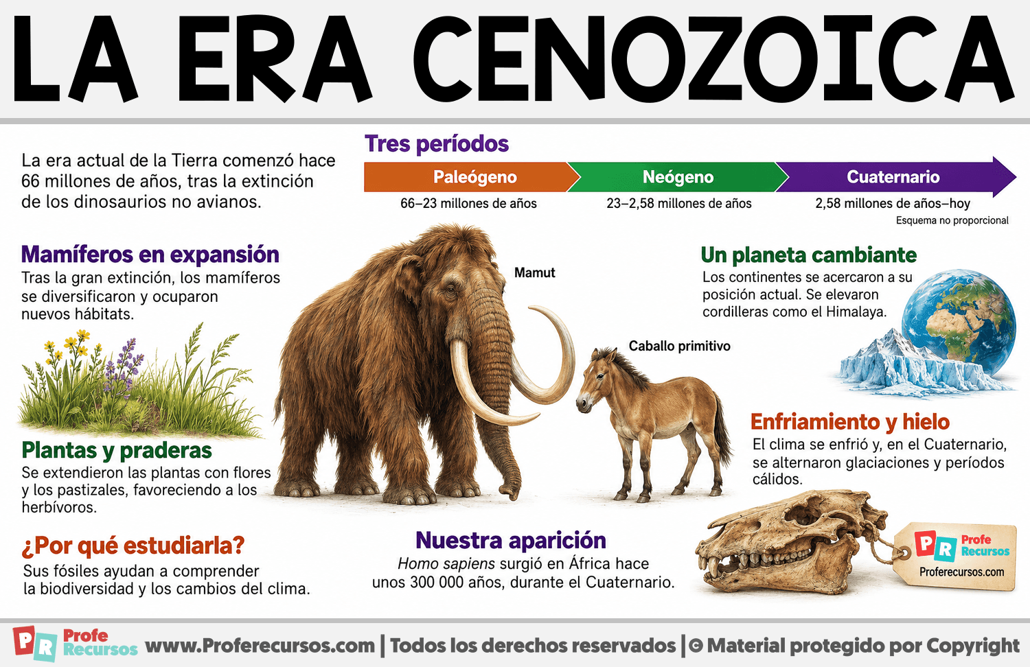 ¿Qué es la era Cenozoica? Infografia sobre ¿Qué es la era Cenozoica?