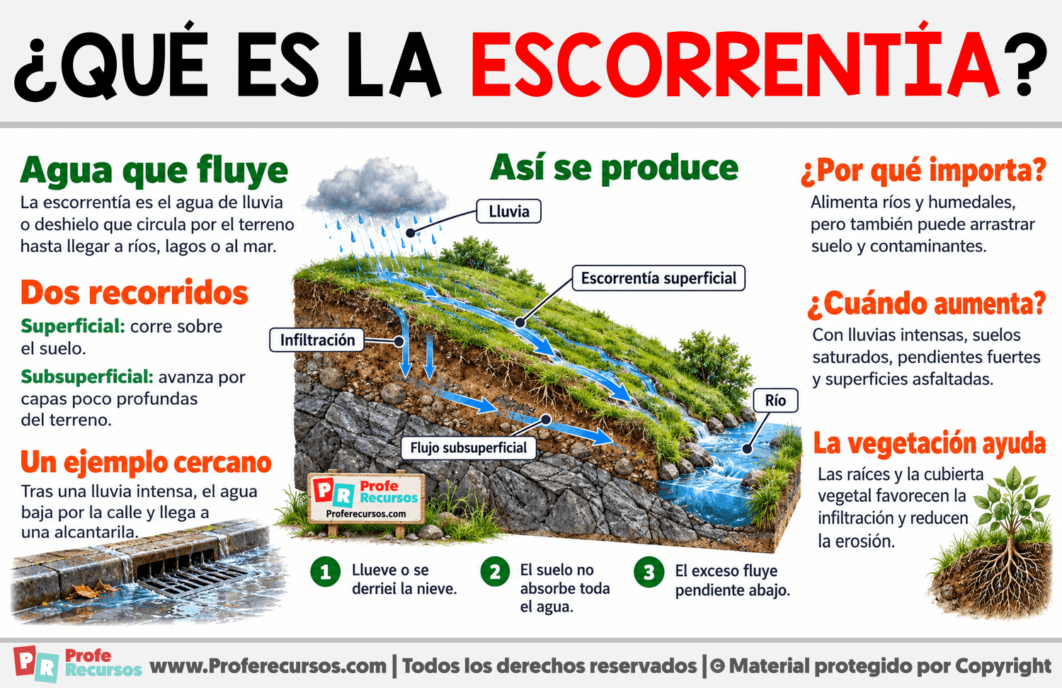 ¿Qué es la escorrentía? Infografia sobre ¿Qué es la escorrentía?