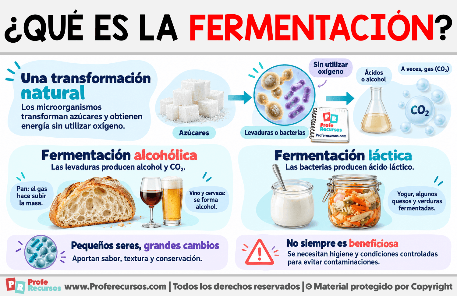 ¿Qué es la fermentación? Infografia sobre ¿Qué es la fermentación?
