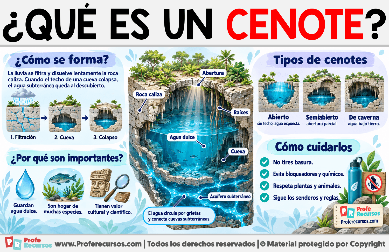 ¿Qué es un Cenote? Infografia sobre ¿Qué es un Cenote?