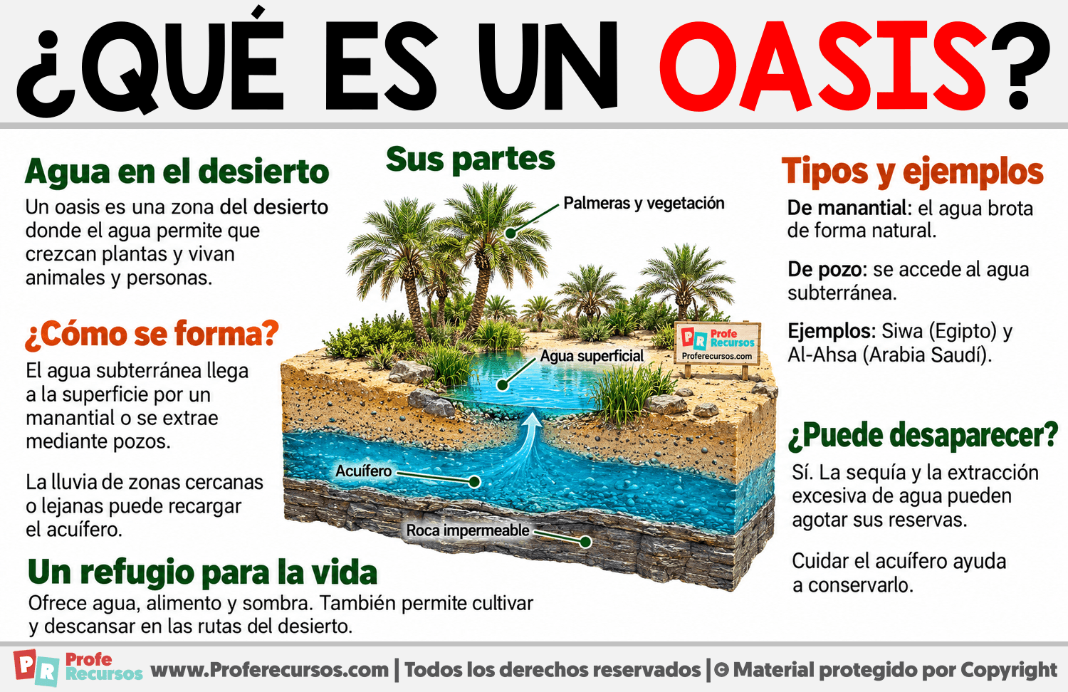 ¿Qué es un oasis? Infografia sobre ¿Qué es un oasis?