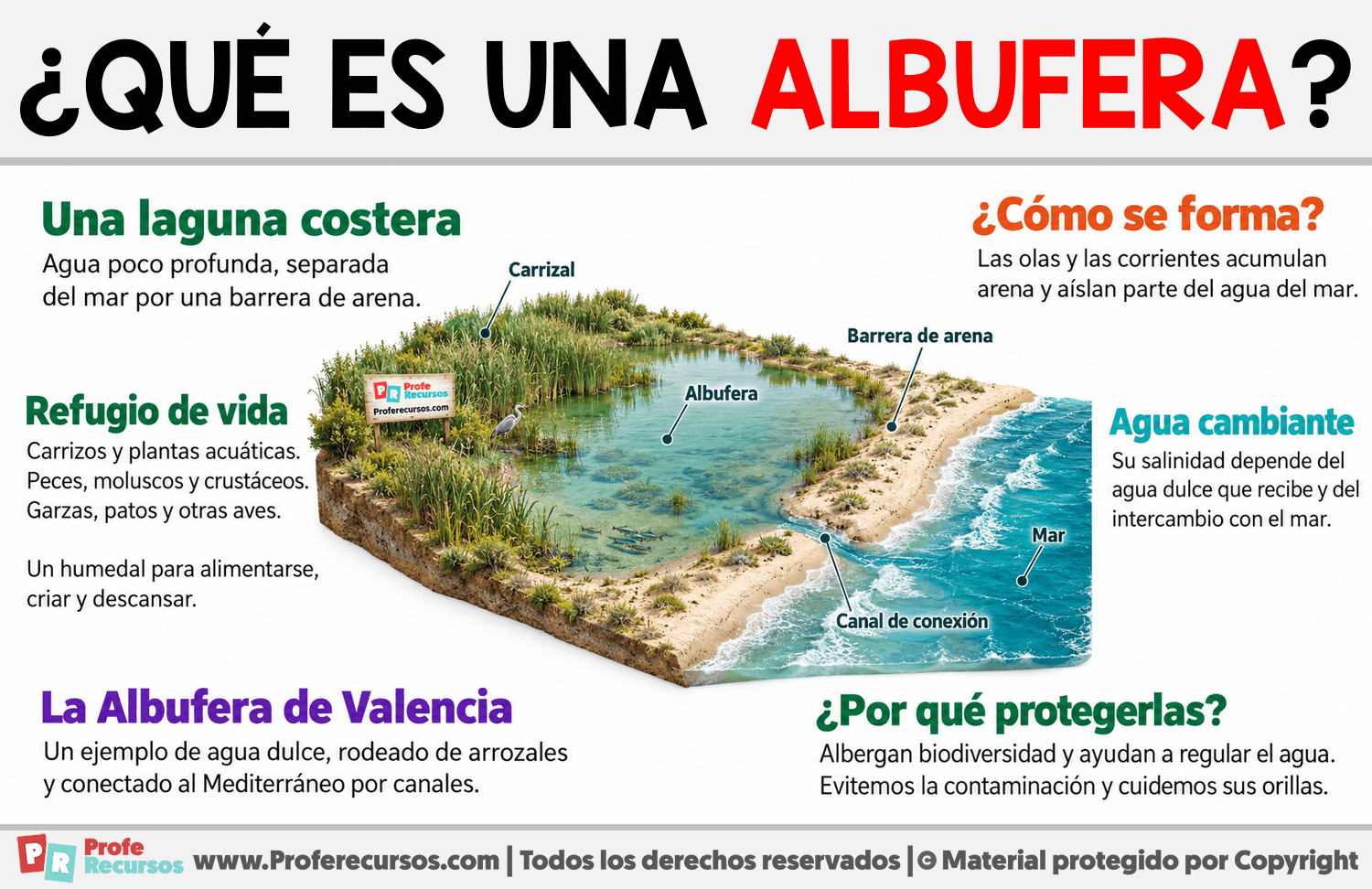 ¿Qué es una albufera? Infografia sobre ¿Qué es una albufera?