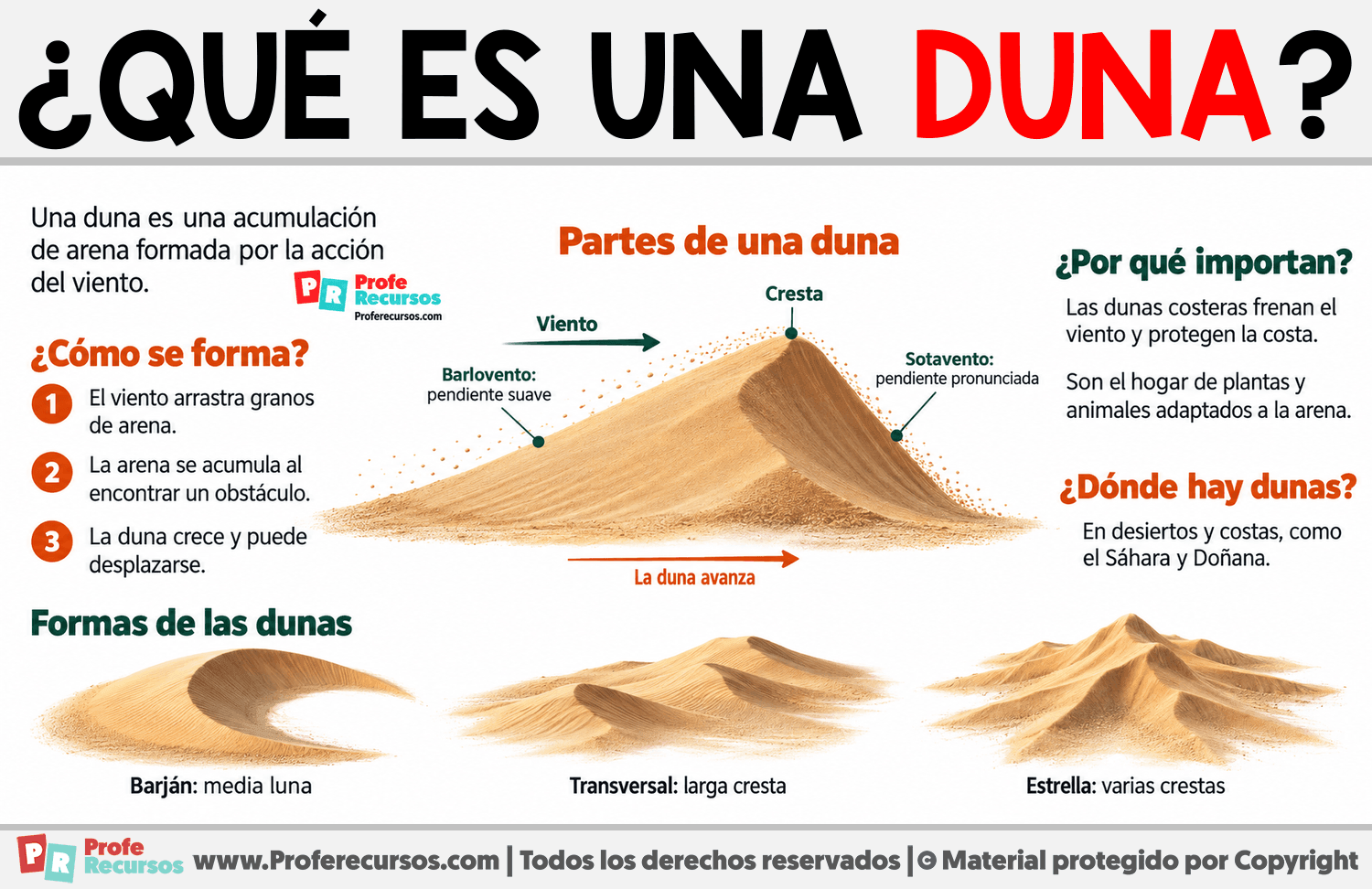 ¿Qué es una duna? Infografia sobre ¿Qué es una duna?