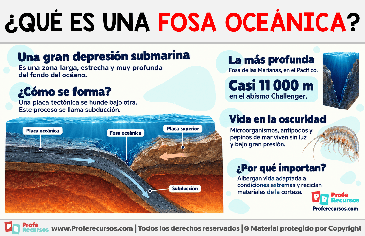 ¿Qué es una fosa oceánica? Infografia sobre ¿Qué es una fosa oceánica?