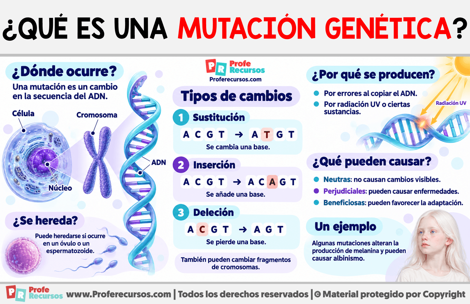 ¿Qué es una mutación genética? Infografia sobre ¿Qué es una mutación genética?
