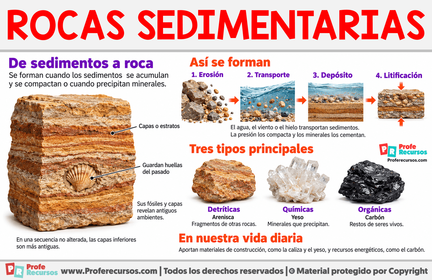 ¿Qué son las rocas sedimentarias? Infografia sobre ¿Qué son las rocas sedimentarias?