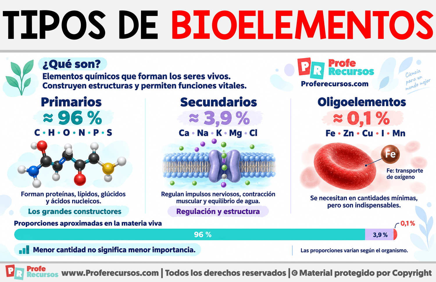 Tipos de bioelementos Infografia sobre Tipos de bioelementos
