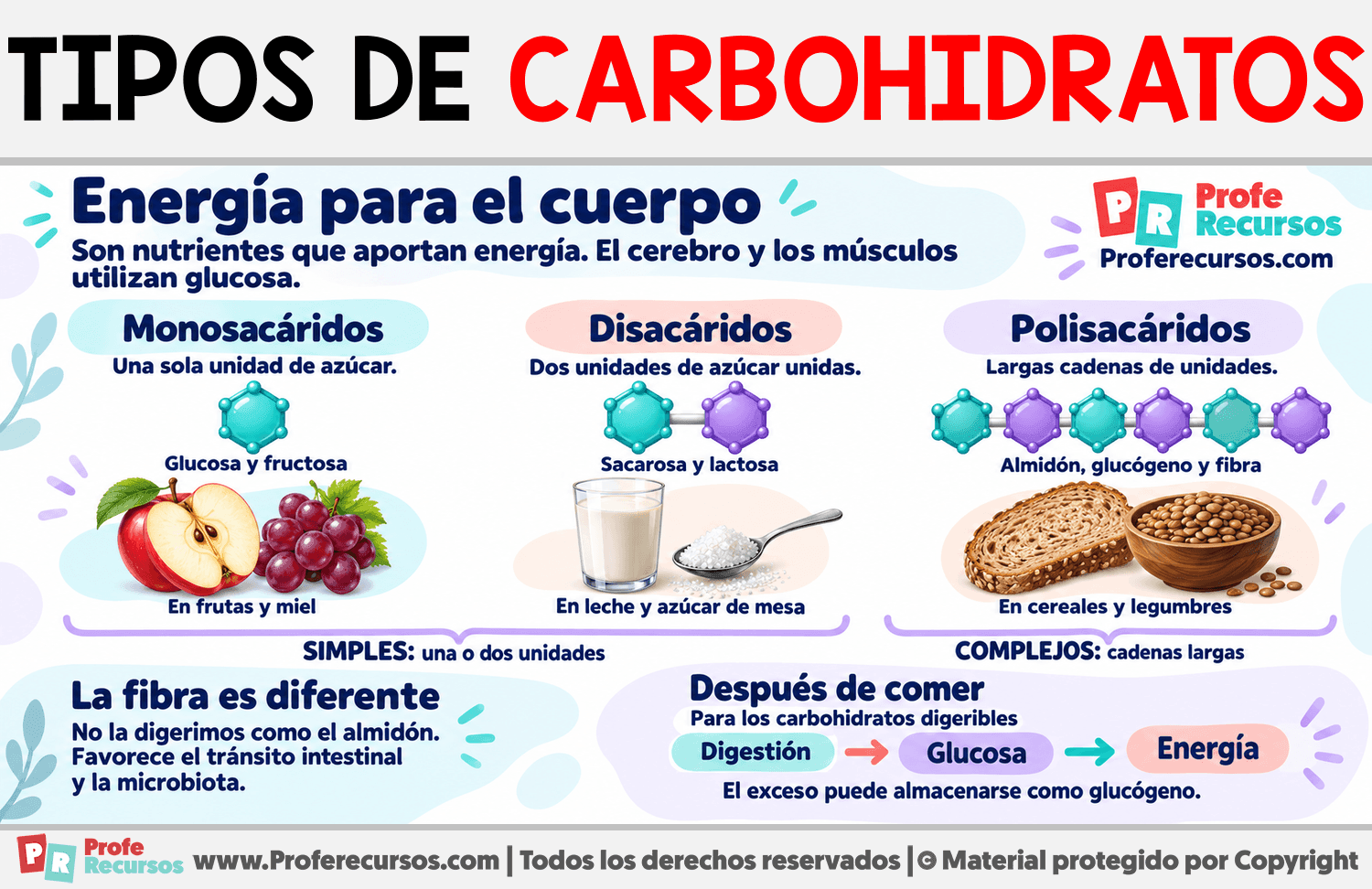 Tipos de carbohidratos Infografia sobre Tipos de carbohidratos