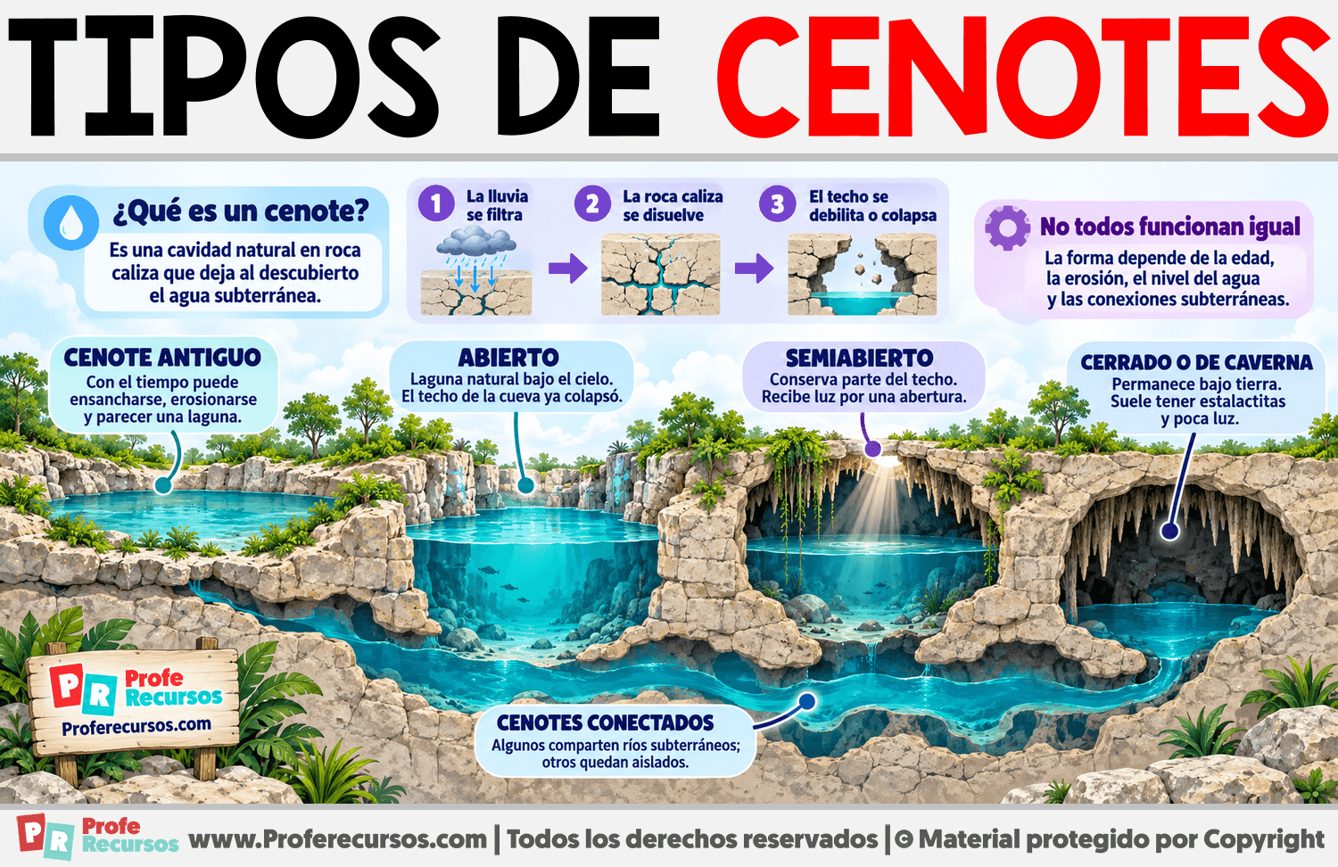 Tipos de Cenotes Infografia sobre Tipos de Cenotes