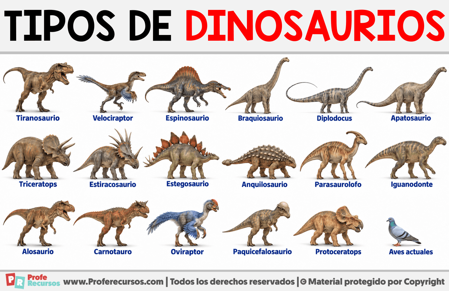 Tipos de dinosaurios Infografia sobre Tipos de dinosaurios