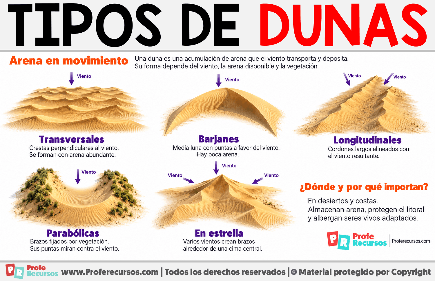 Tipos de dunas Infografia sobre Tipos de dunas