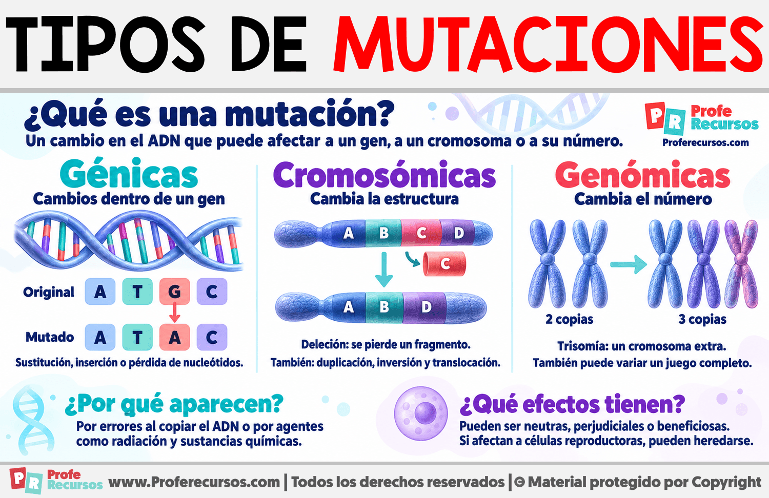 Tipos de mutaciones Infografia sobre Tipos de mutaciones