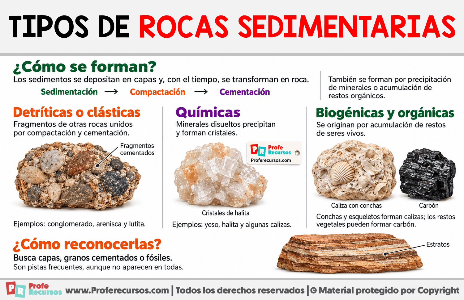 Tipos de rocas sedimentarias Infografia sobre Tipos de rocas sedimentarias