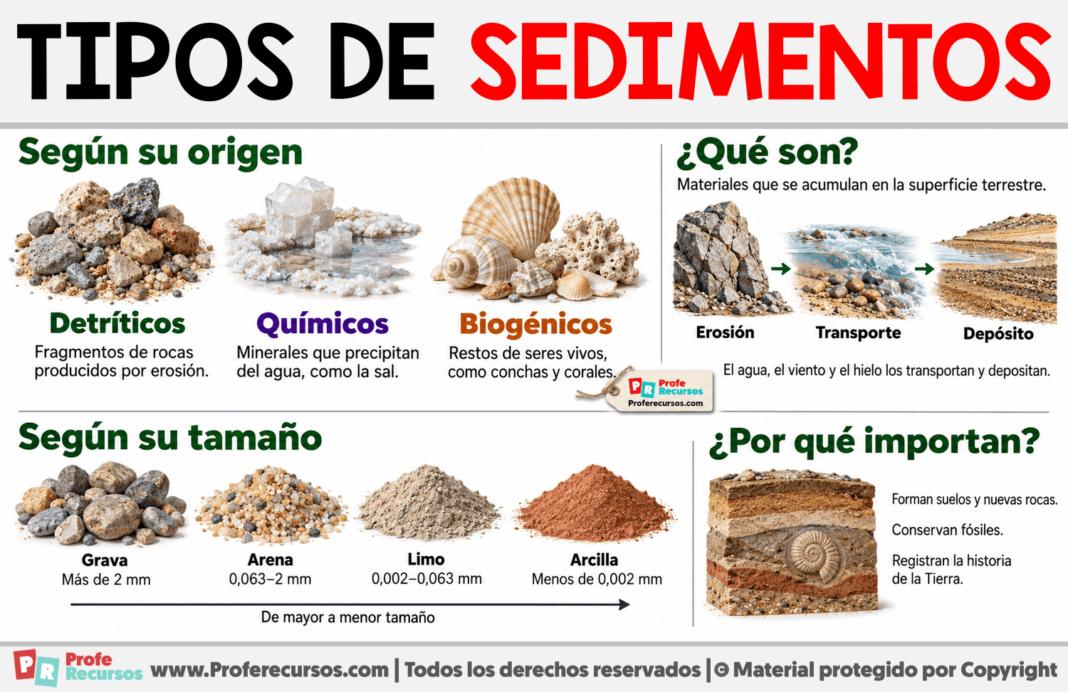 Tipos de sedimentos Infografia sobre Tipos de sedimentos