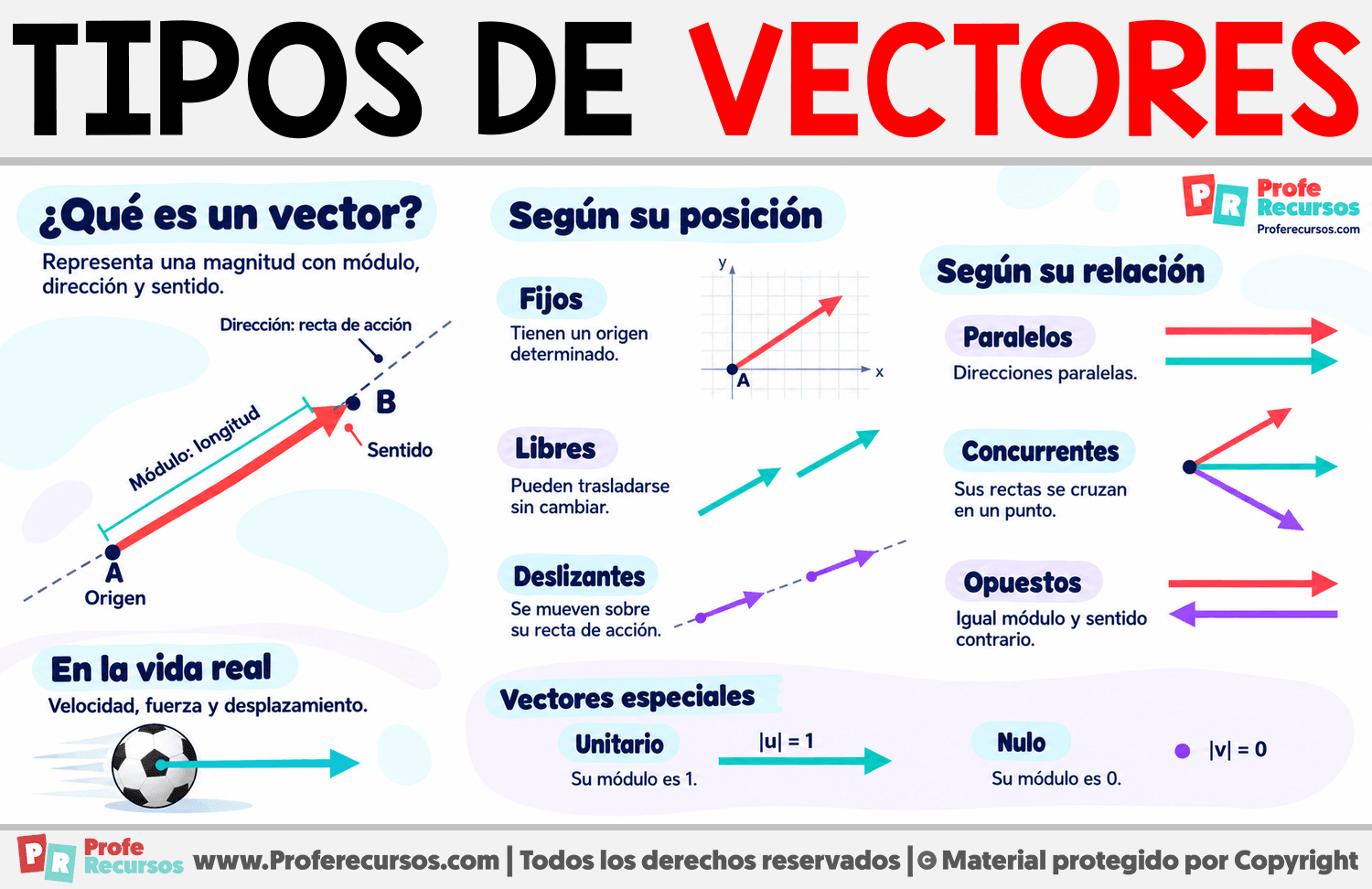 Tipos de vectores Infografia sobre Tipos de vectores
