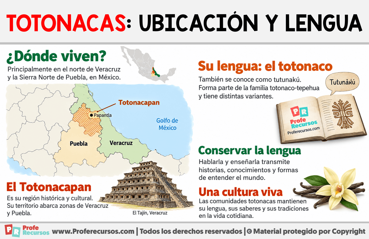 Totonacas: ubicación y lengua Infografia sobre Totonacas: ubicación y lengua