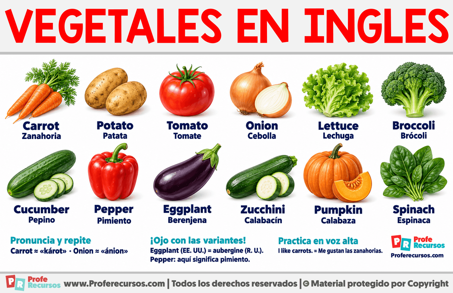 Vegetales en Ingles Infografia sobre Vegetales en Ingles