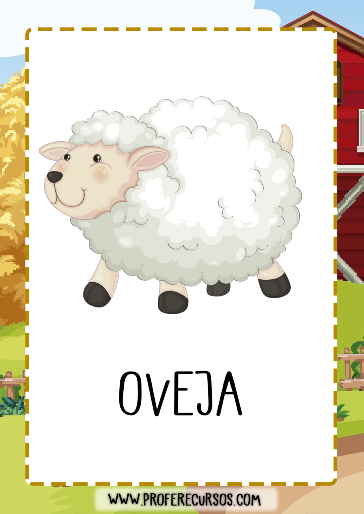 vocabulario_animales_granja_oveja