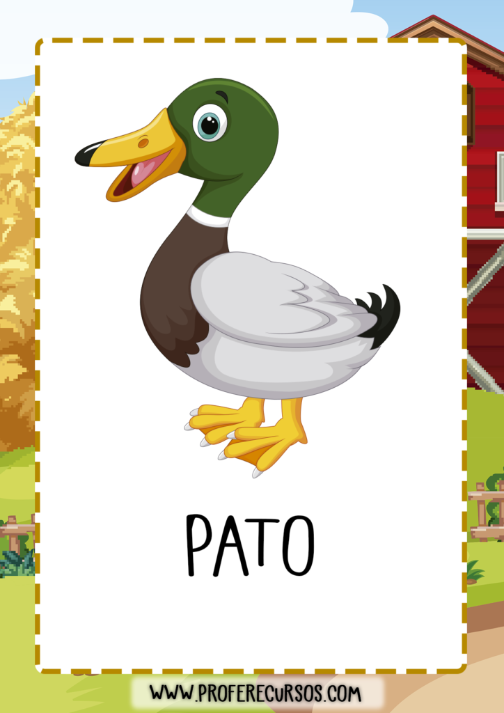 vocabulario_animales_granja_pato