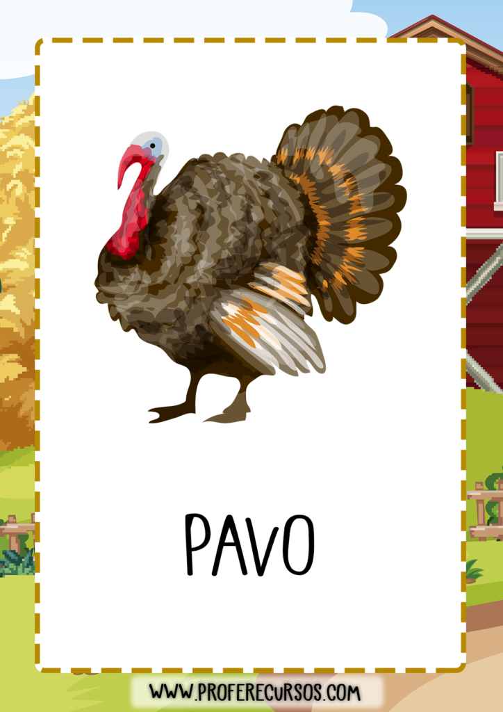 vocabulario_animales_granja_pavo