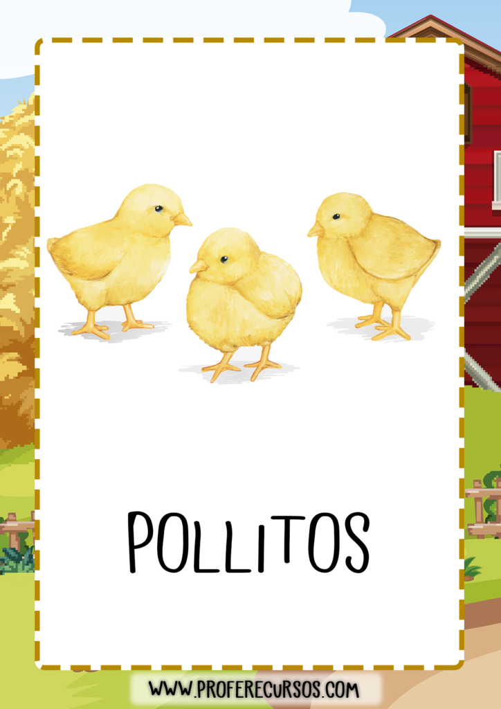 vocabulario_animales_granja_pollitos